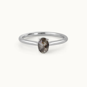 Celestial Coordinates Ring